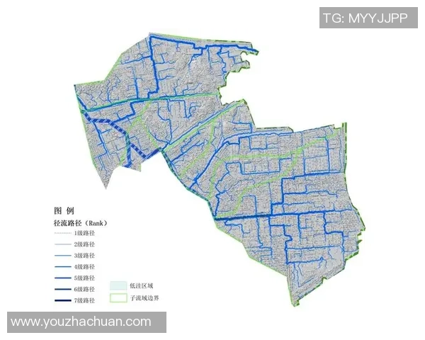 深圳排球队灵活性分析与表现评估探讨